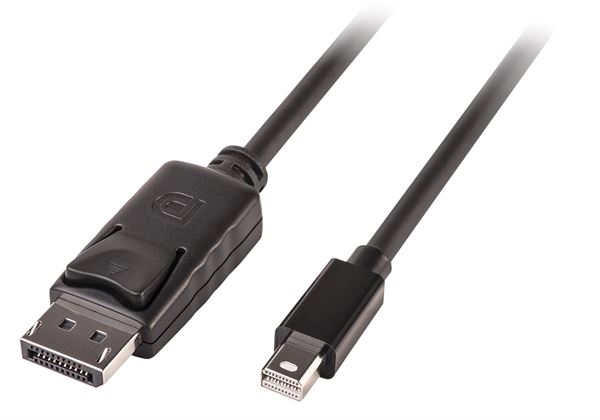 Lindy - Cavo DisplayPort - DisplayPort (M) a …