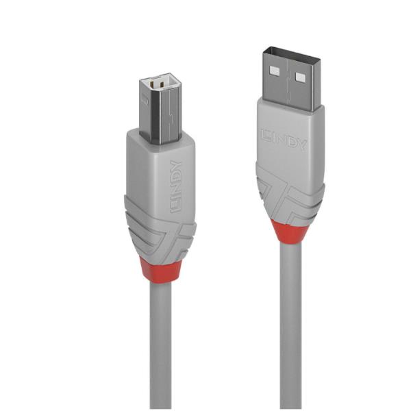 Lindy Anthra Line - Cavo USB - USB …