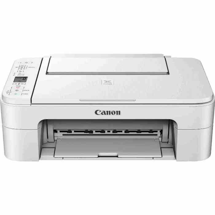 Canon PIXMA TS3351 - Stampante multifunzione - colore …