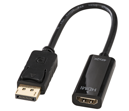 Lindy - Adattatore video - DisplayPort maschio a …