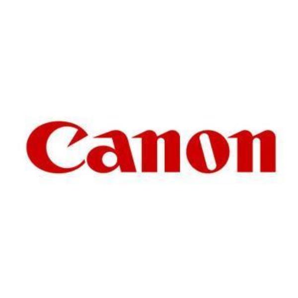 Canon C-EXV 53 - Nero - originale - …