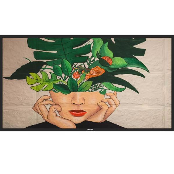 Philips 50BDL4511D - 50" Categoria diagonale (49.5" visualizzabile) …