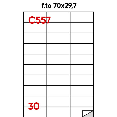 Etichette adesive C/557 - in carta - permanenti …