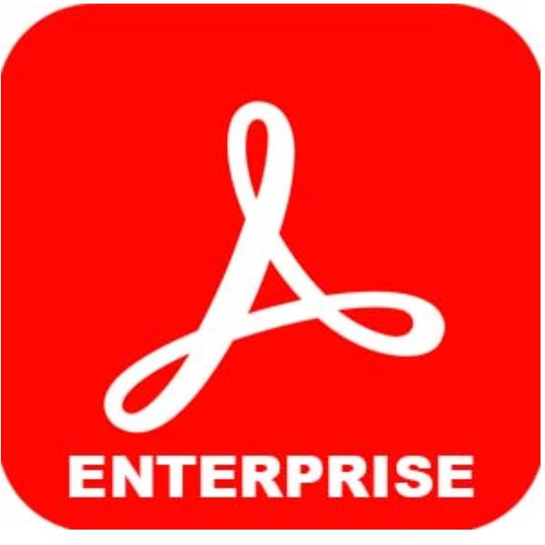 Adobe Acrobat Standard for enterprise - Nuovo abbonamento …