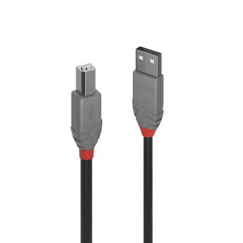 Lindy Cavo USB 2.0 Tipo A a B …