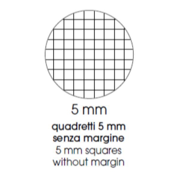 Maxiquaderno Color 80 - A4 - 5mm - …