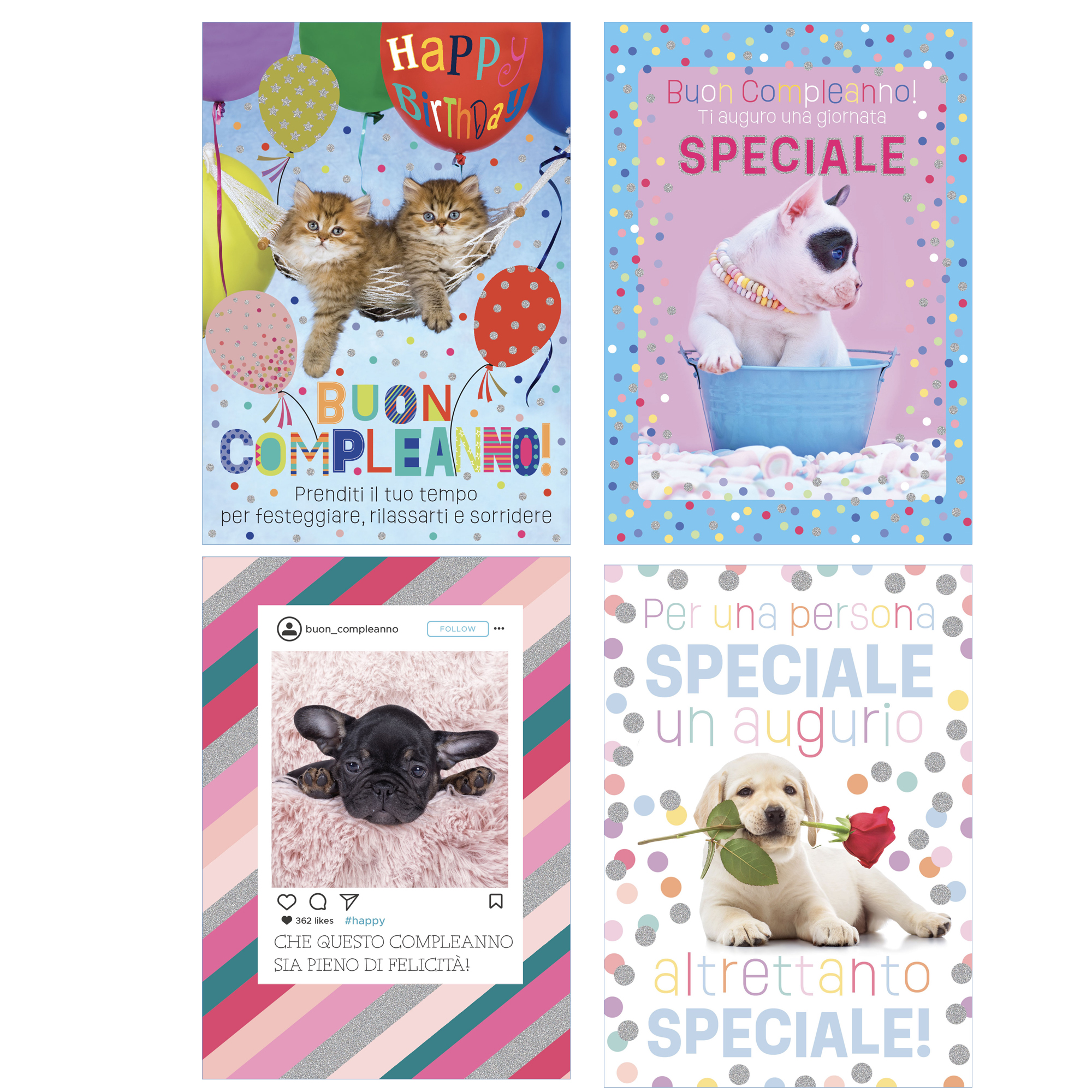 Biglietto Cani e Gatti fotografici fantasie assortite Rex …