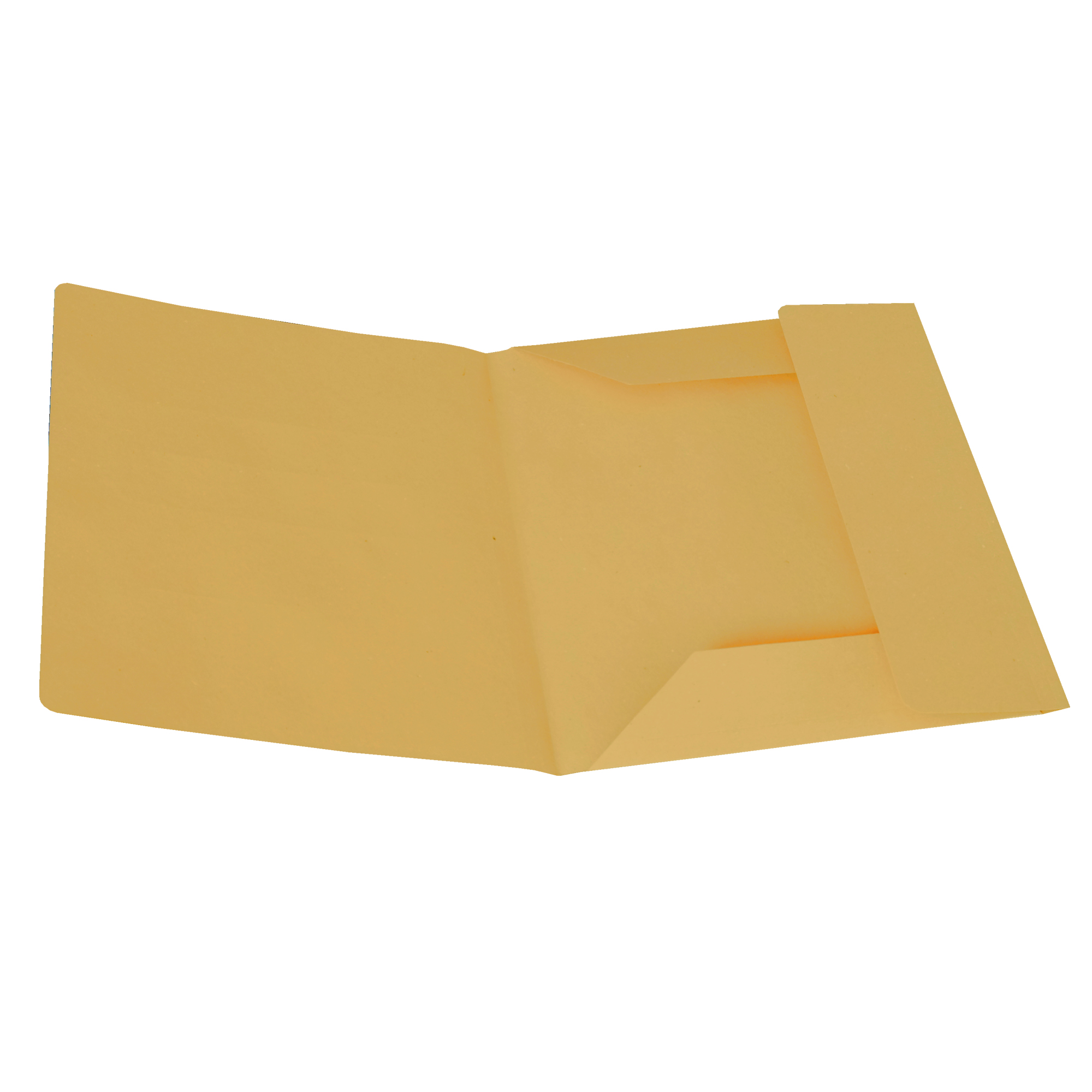Cartellina 3 lembi - 200 gr - 25 …
