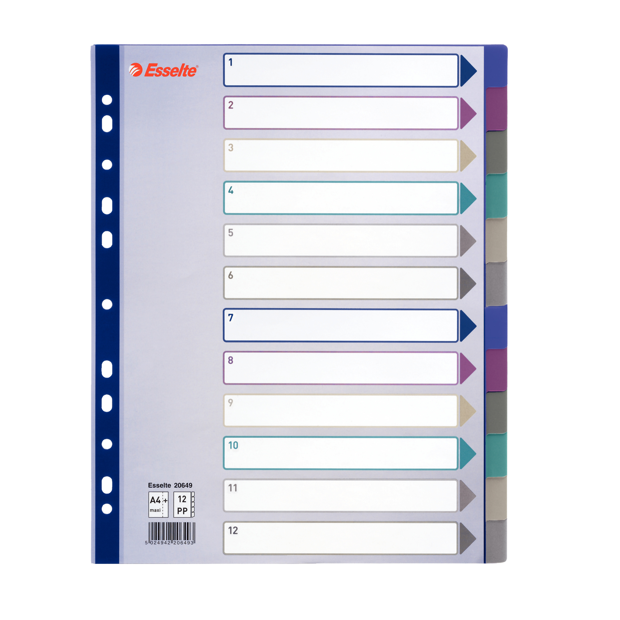 Separatore - 12 tasti - PP traslucido - …