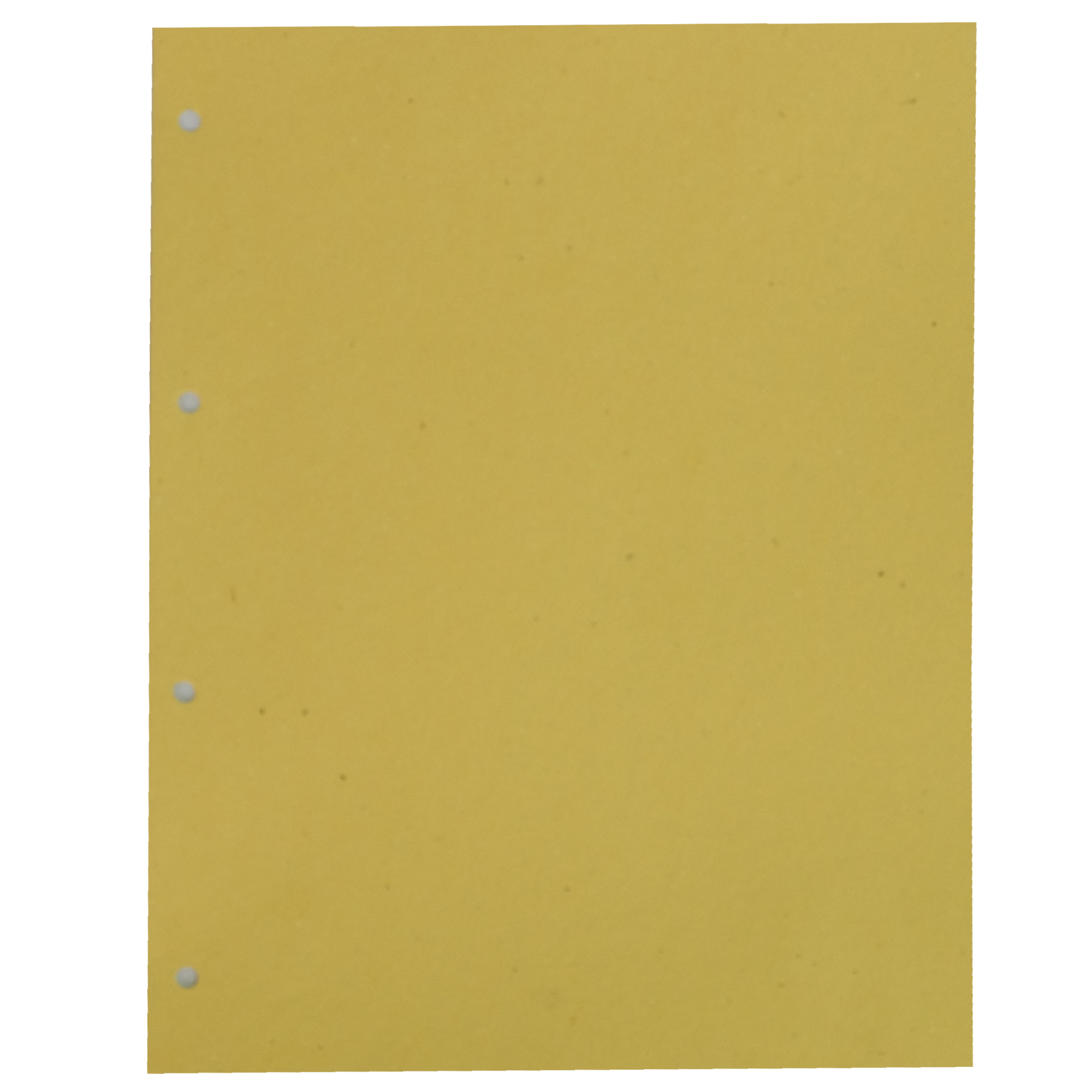 Separatori - cartoncino Manilla 200 gr - 22x30 …