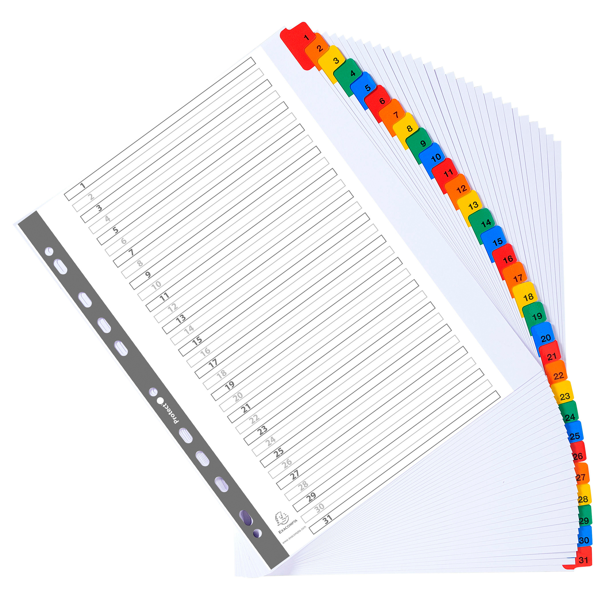 Separatore numerico 1/31 - cartoncino bianco 160 gr …