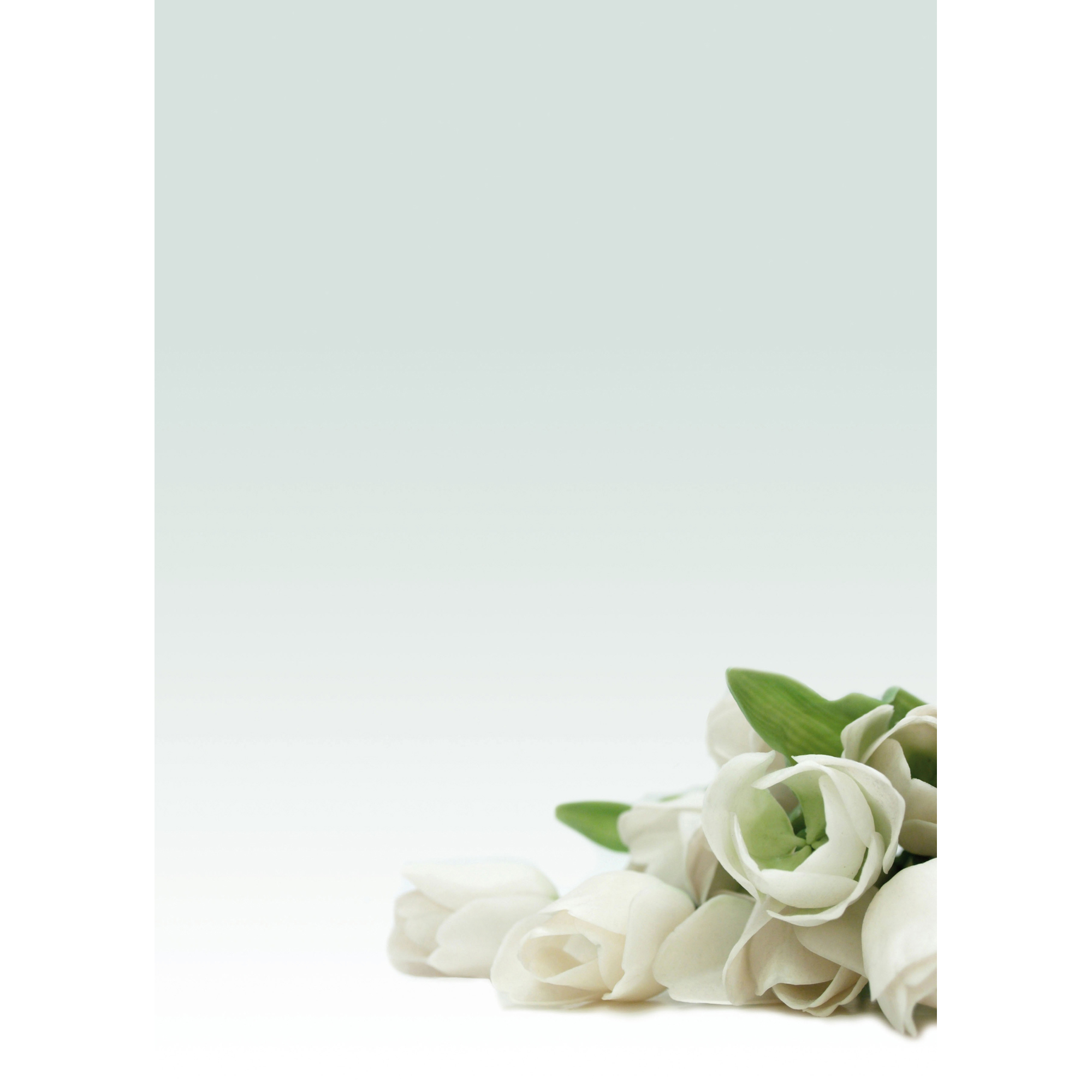 Carta con stampa "rosa bianca" - A4 - …