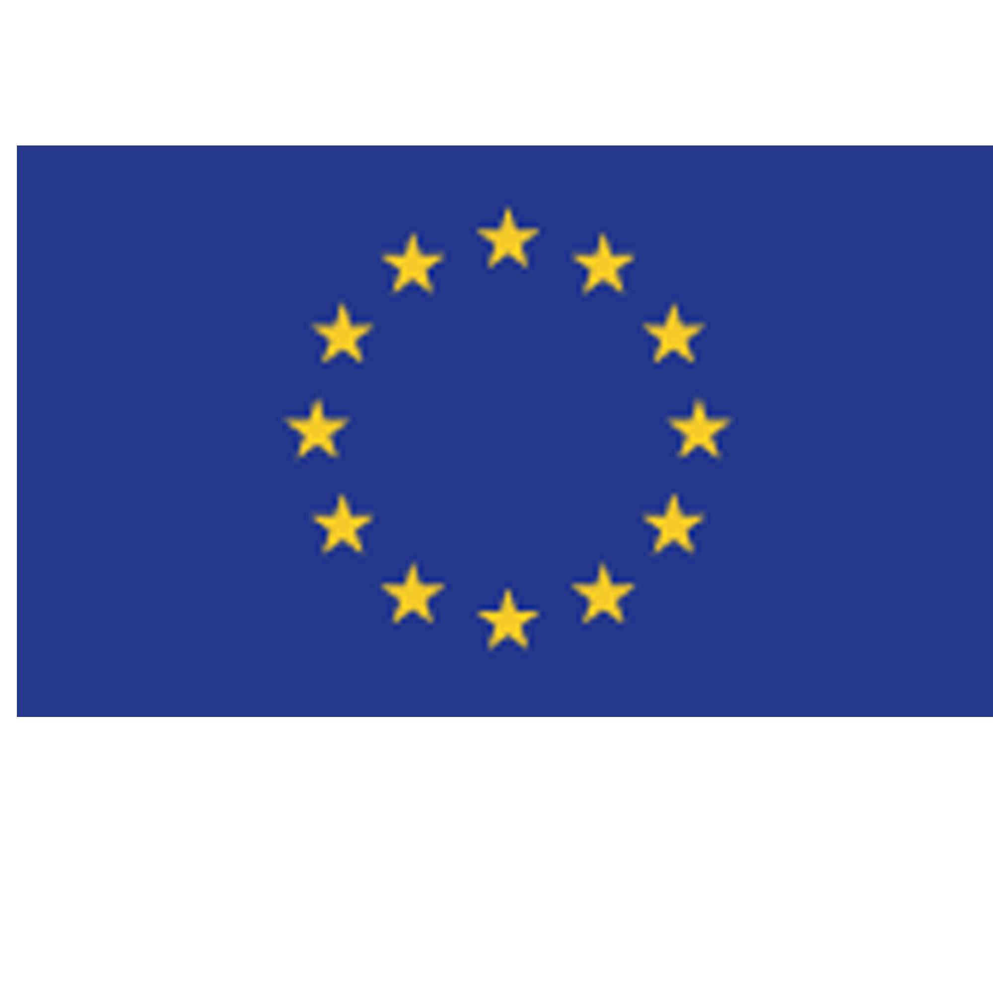 Bandiera Europa - 100 x 150 cm - …