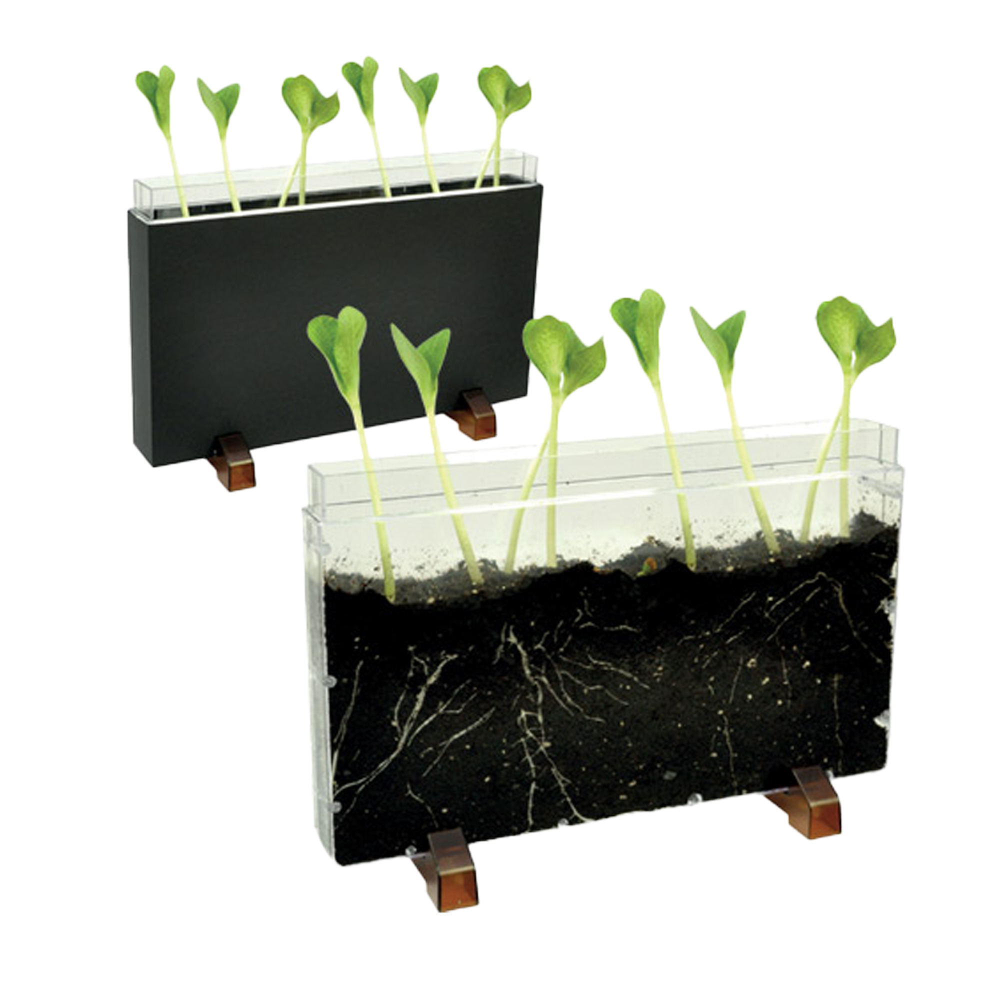 Contenitore Esplora il sottosuolo - 30 x 19 …