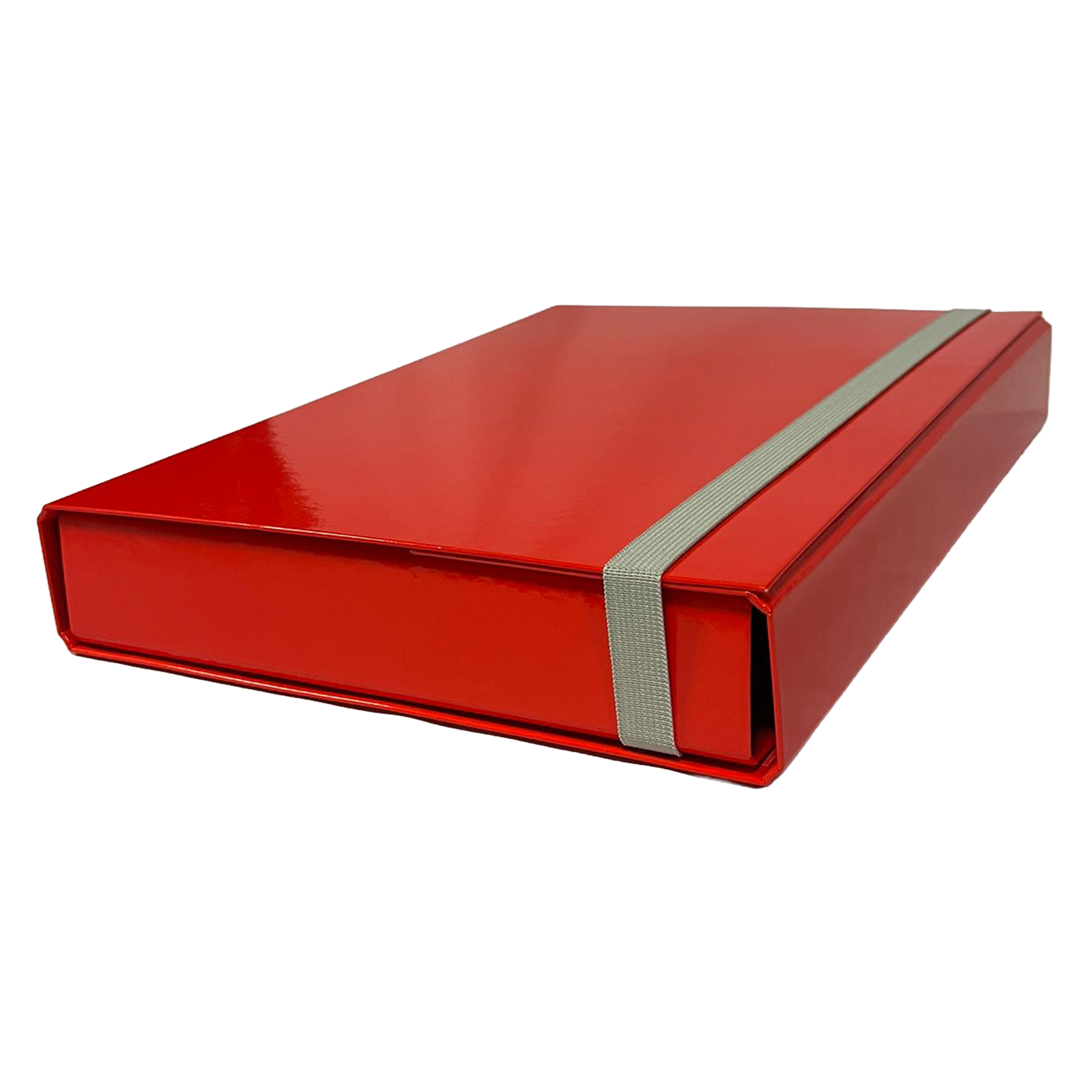 Cartella progetto - con elastico - dorso 5 …