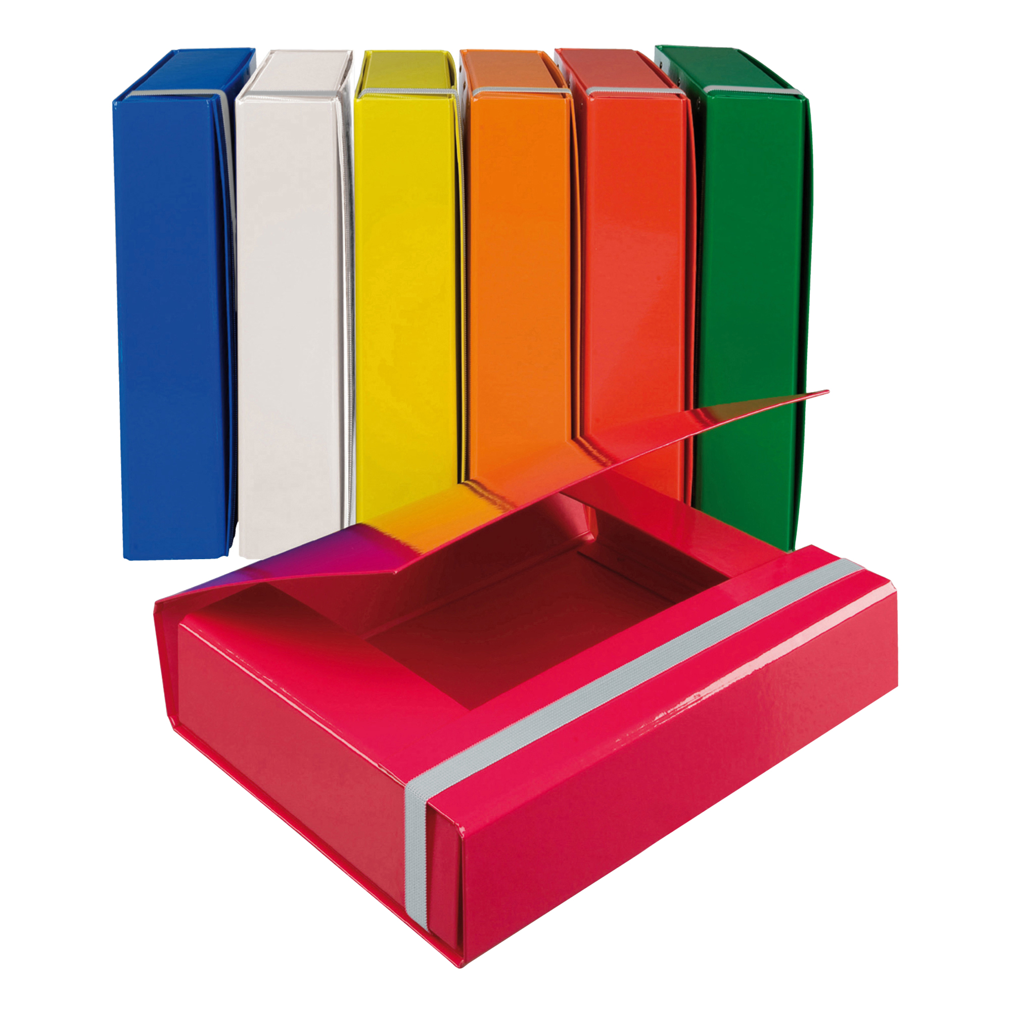 Cartella progetto - con elastico - dorso 7 …