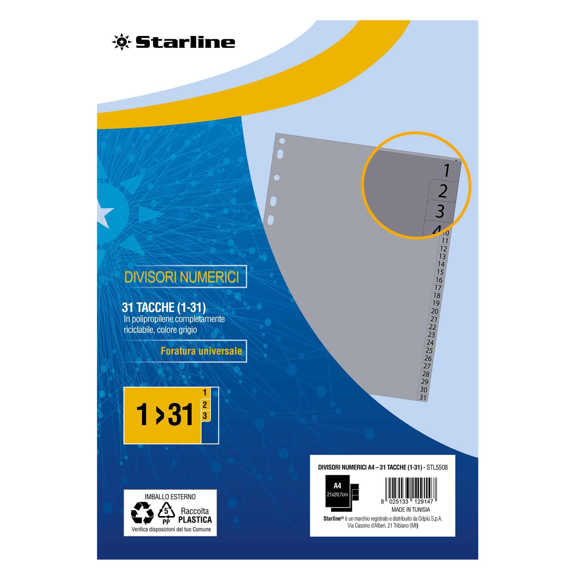 Divisori numerici 31 tacche - A4 - PP …