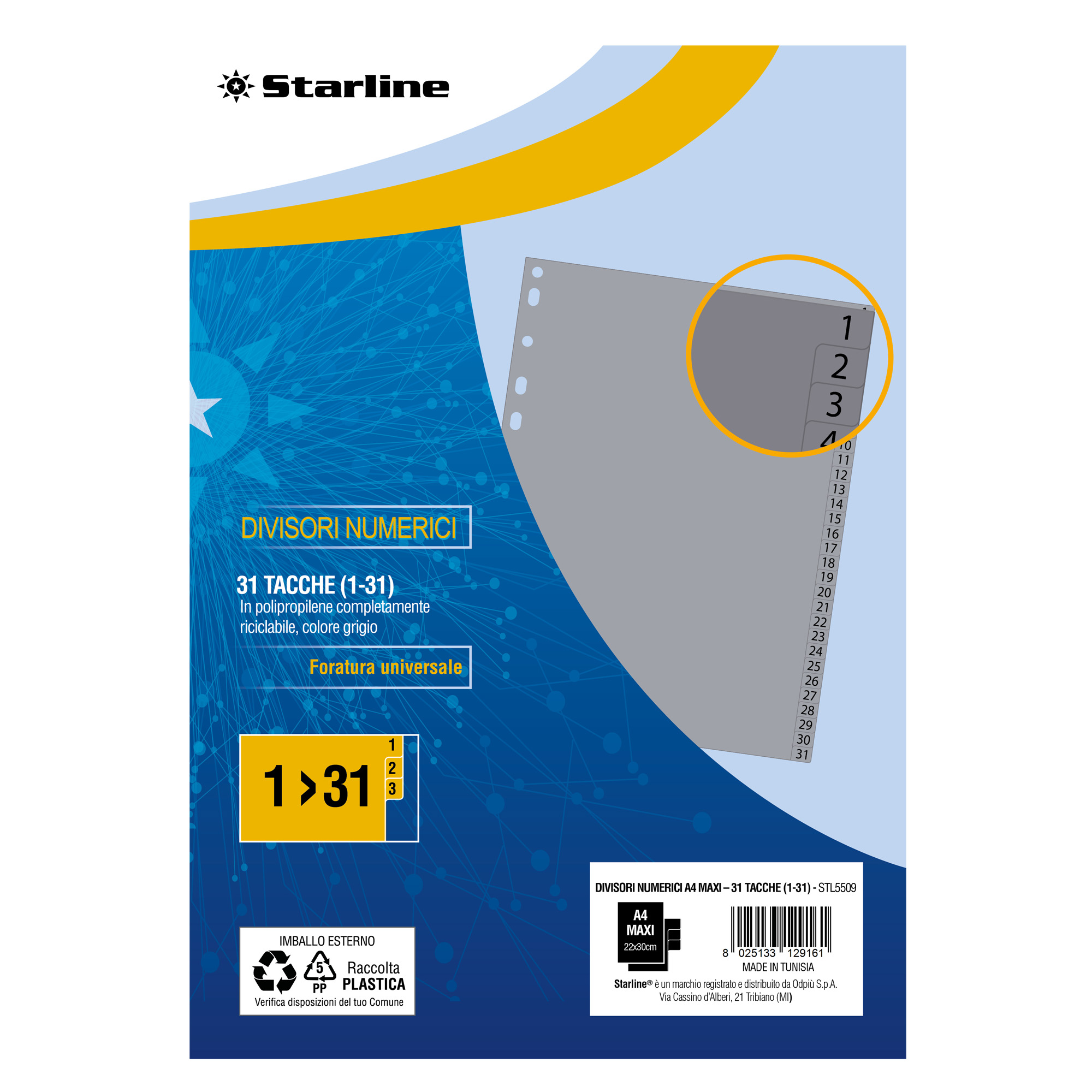 Divisori numerici 31 tacche - A4 Maxi - …