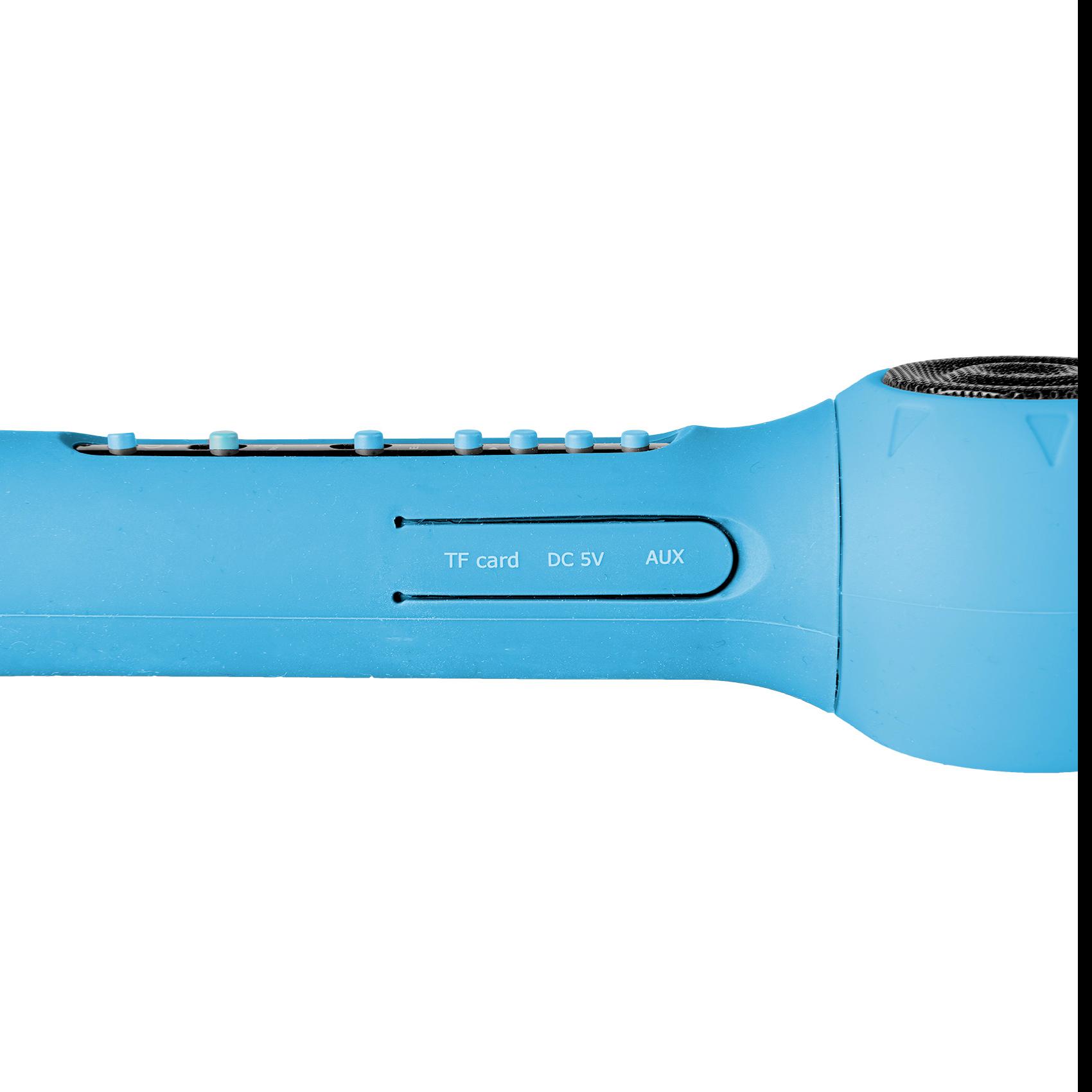 Speaker - FESTIVAL - Microphone with Bluetooth Speaker …