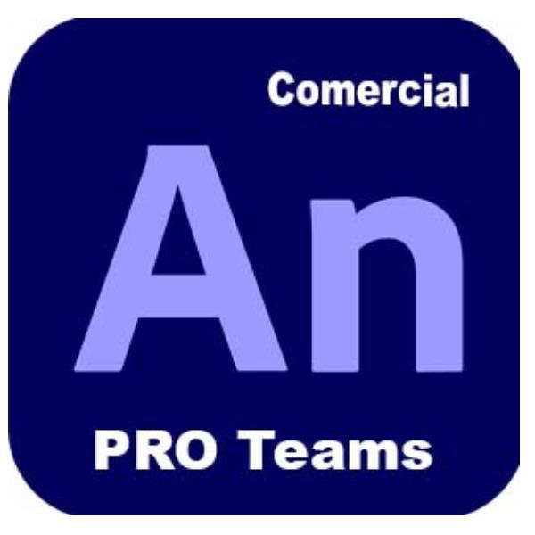 ADOBE ANIMATE - PRO TEAMS MULTI