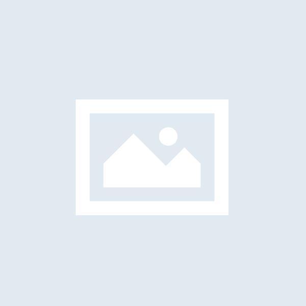 STRONG ALIMENTATORE 12V 24HC3023