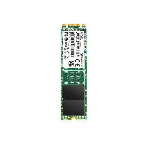 Transcend MTS825S - SSD - 250 GB - …