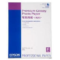 Epson Premium Glossy Photo Paper - Lucido - …