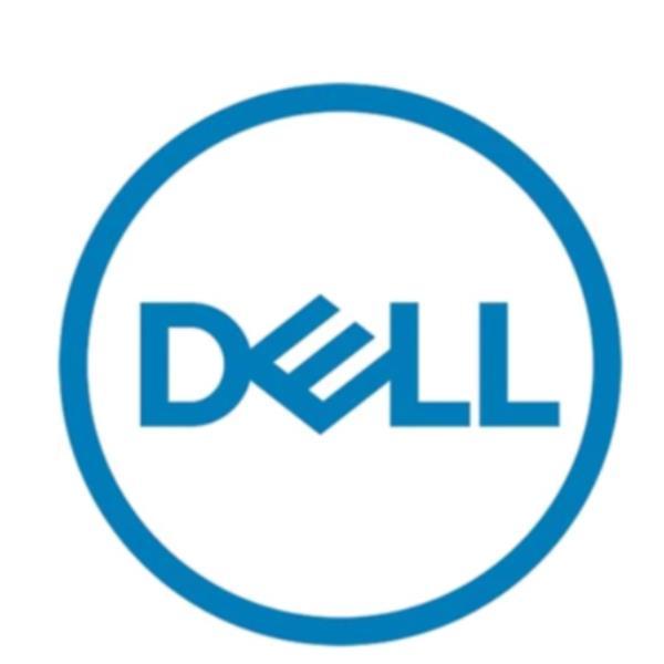 Dell - SSD - 960 GB - interno …