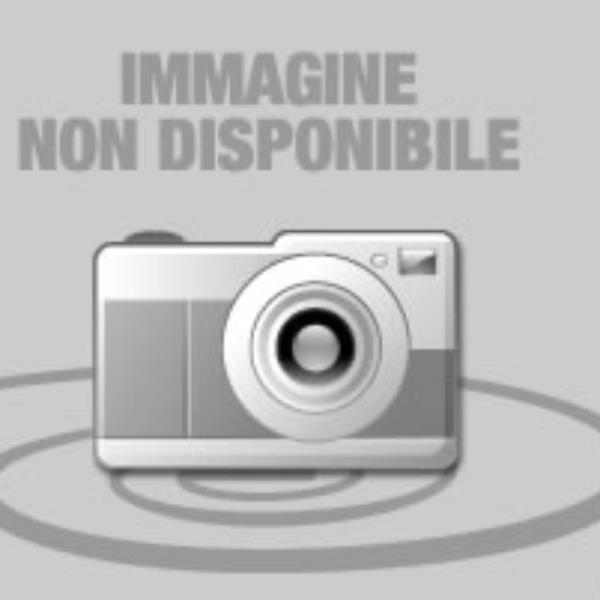 LEXMARK MS811 1Y ASSISTENZA ON-SITE