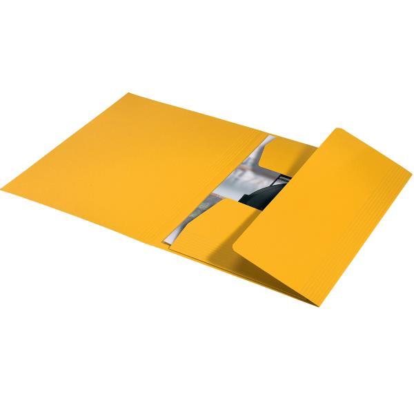 Leitz Recycle - Cartelletta a 3 lembi - …