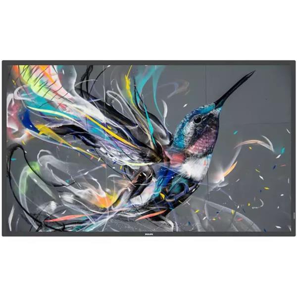 Philips 43BDL3511Q - 43" Categoria diagonale (42.5" visualizzabile) …