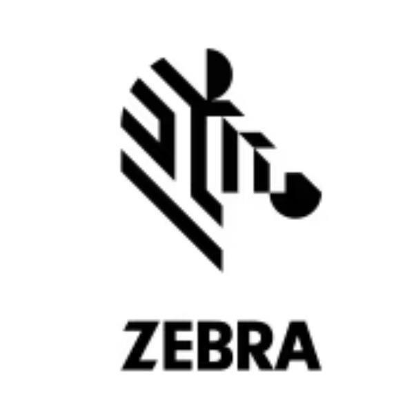 ZEBRA ESPANSIONE STERNA VESA ET4X 10