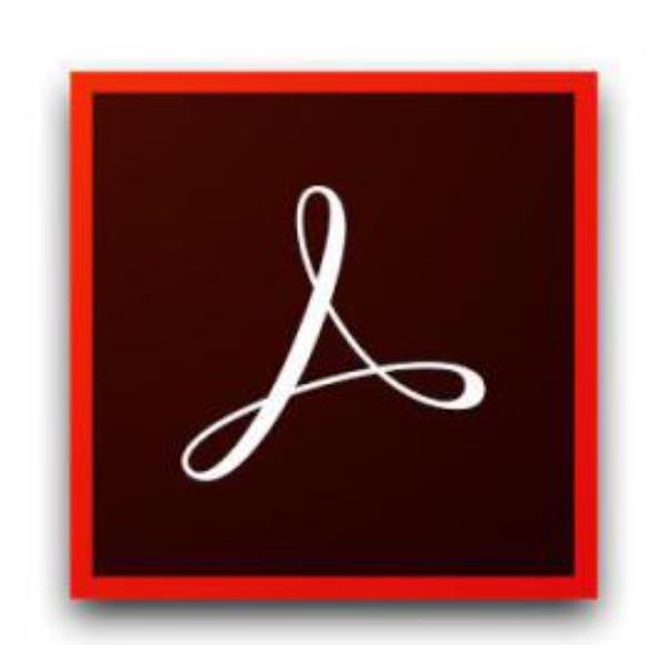 ADOBE ACRO STD DC TEAMS ML SUB N